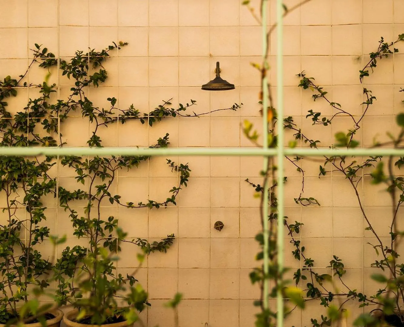 Boscos Apartments Sevilla